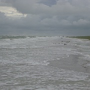 Picture 054